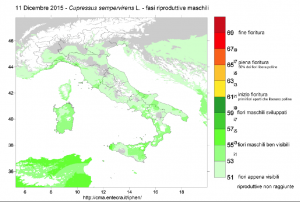 CIPRESSO 2015